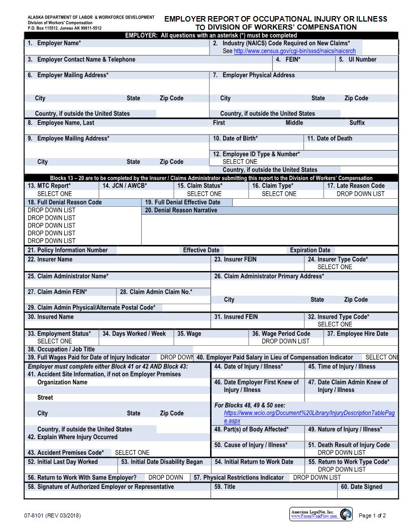 Report Of Occupational Injury Or Illness {07-6101} | Pdf Fpdf Docx | Alaska