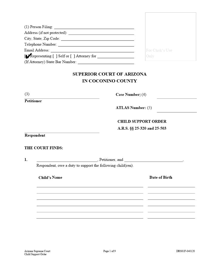 Child Support Order {DRS81F} | Pdf Fpdf Doc Docx | Arizona