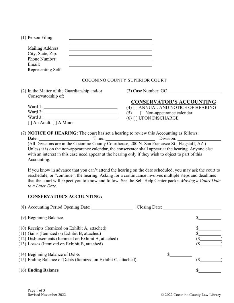 Conservators Accounting | Pdf Fpdf Docx | Arizona