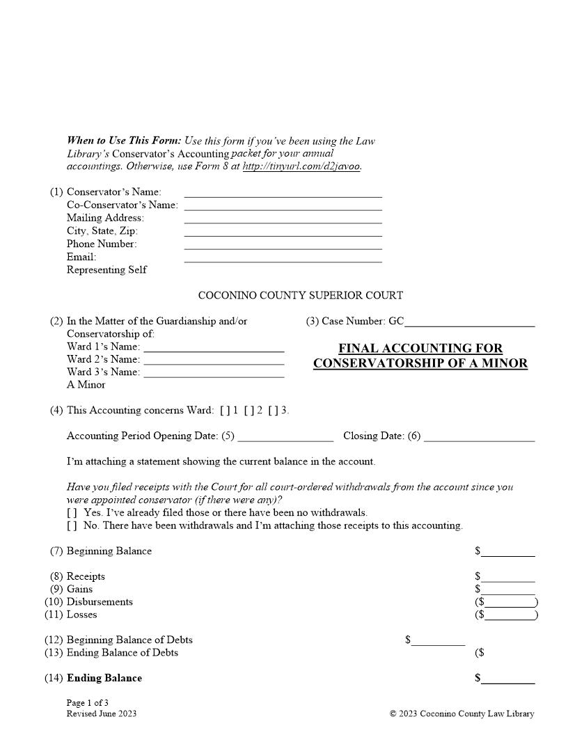 Final Accounting For Conservatorship Of A Minor | Pdf Fpdf Docx | Arizona