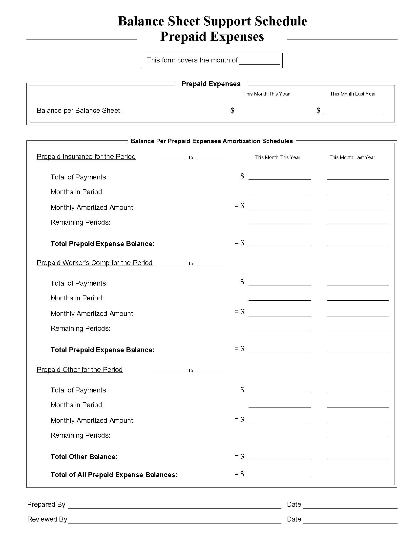 Balance Sheet Support Schedule Prepaid Expenses | Pdf Fpdf Docx | Business Forms