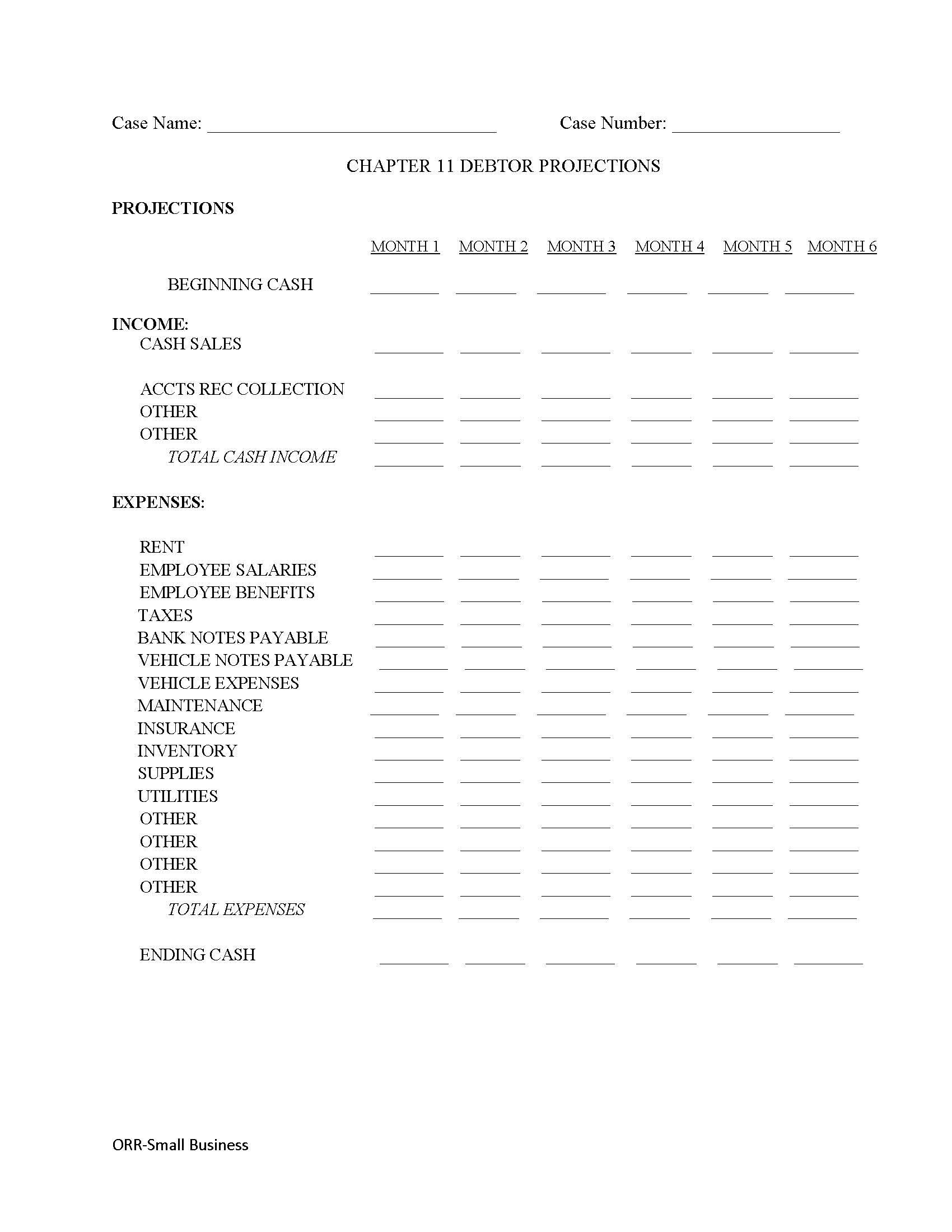 Chapter 11 Debtor Projections (Small Business) | Pdf Fpdf Docx | California