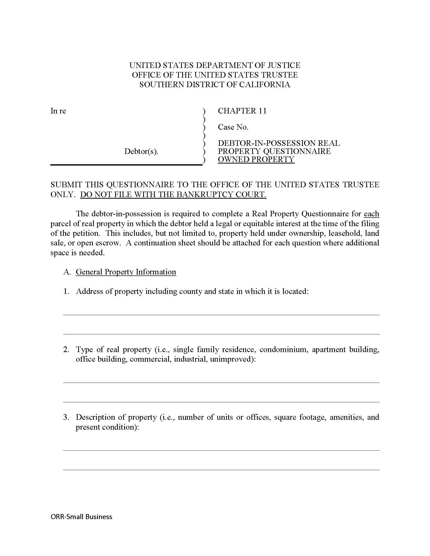 Chapter 11 Debtor-In-Possession Real Property Questionnaire Owned Property | Pdf Fpdf Docx | California