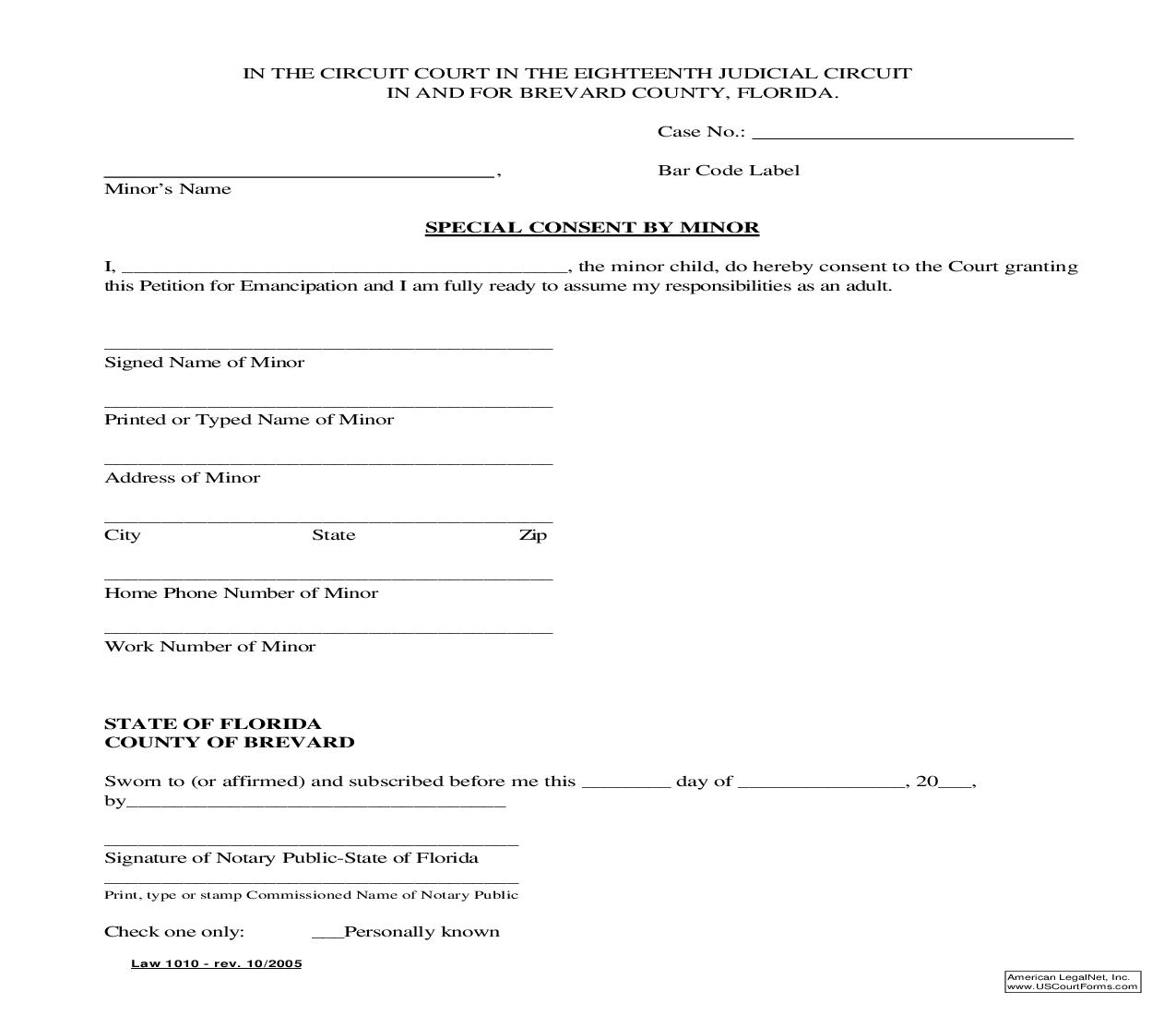 Special Consent By Minor {Law 1010} | Pdf Fpdf Doc Docx | Florida
