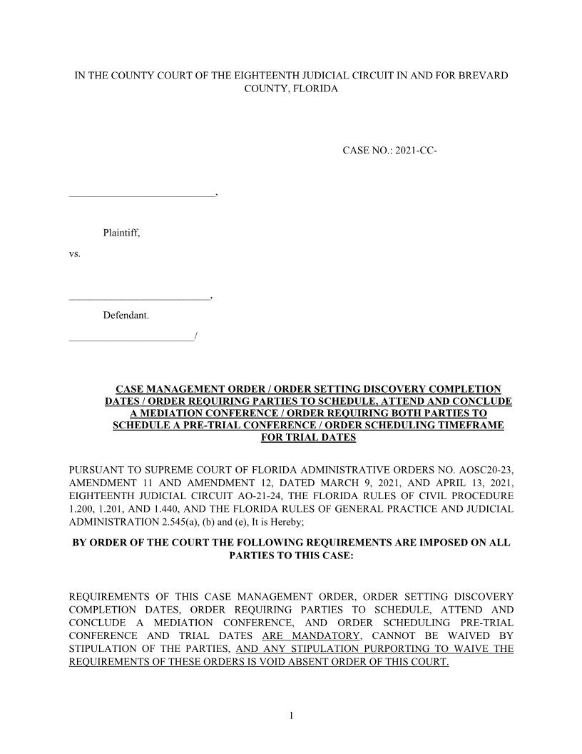 Case Management Order (County Court) | Pdf Fpdf Docx | Florida