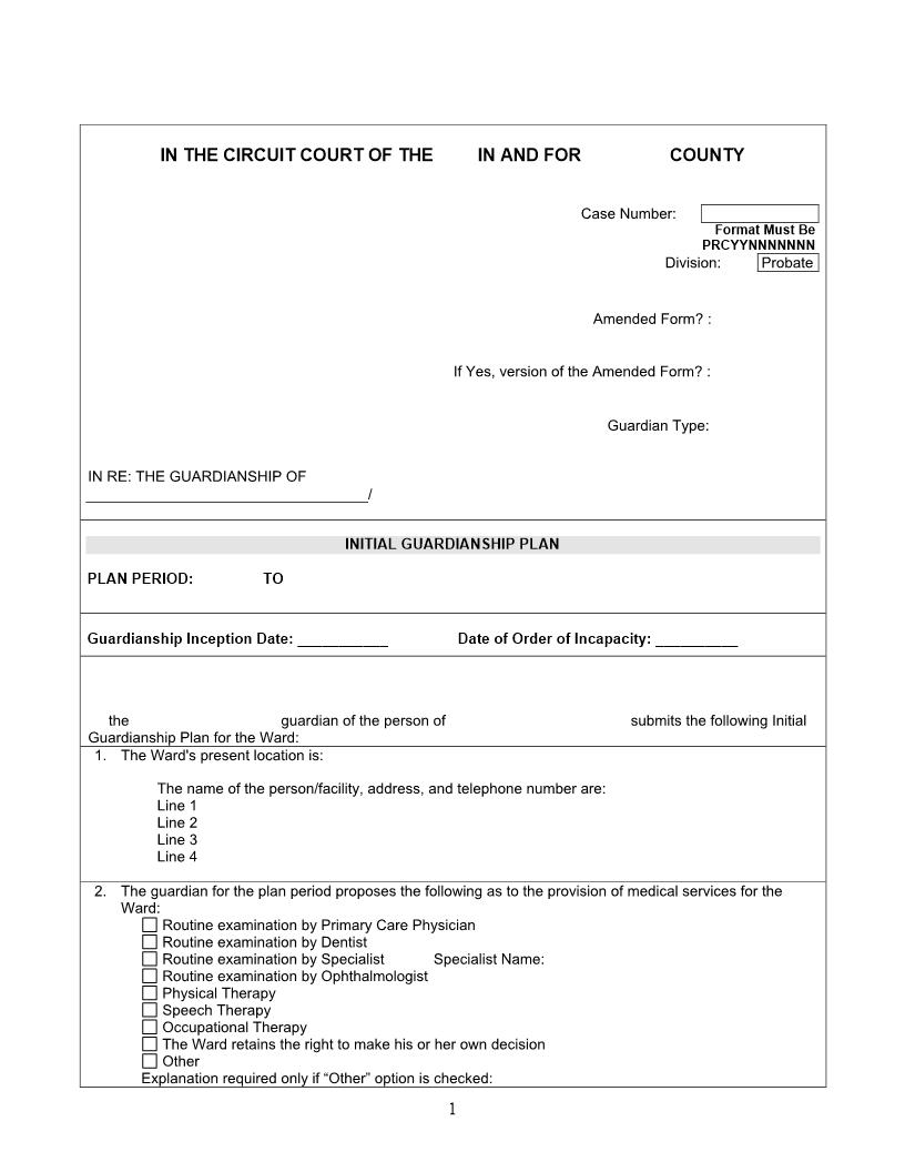 Initial Guardianship Plan | Pdf Fpdf Docx | Florida