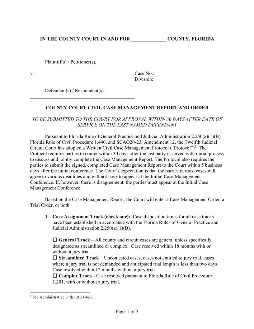 County Court Case Management Report And Order Approving {12JC CouCMRO} | Pdf Fpdf Docx | Florida