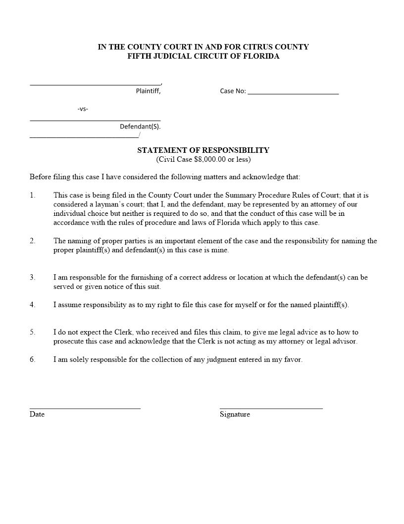 Statement Of Responsibility (Civil Case 8000 Dollars Or Less) | Pdf Fpdf Docx | Florida