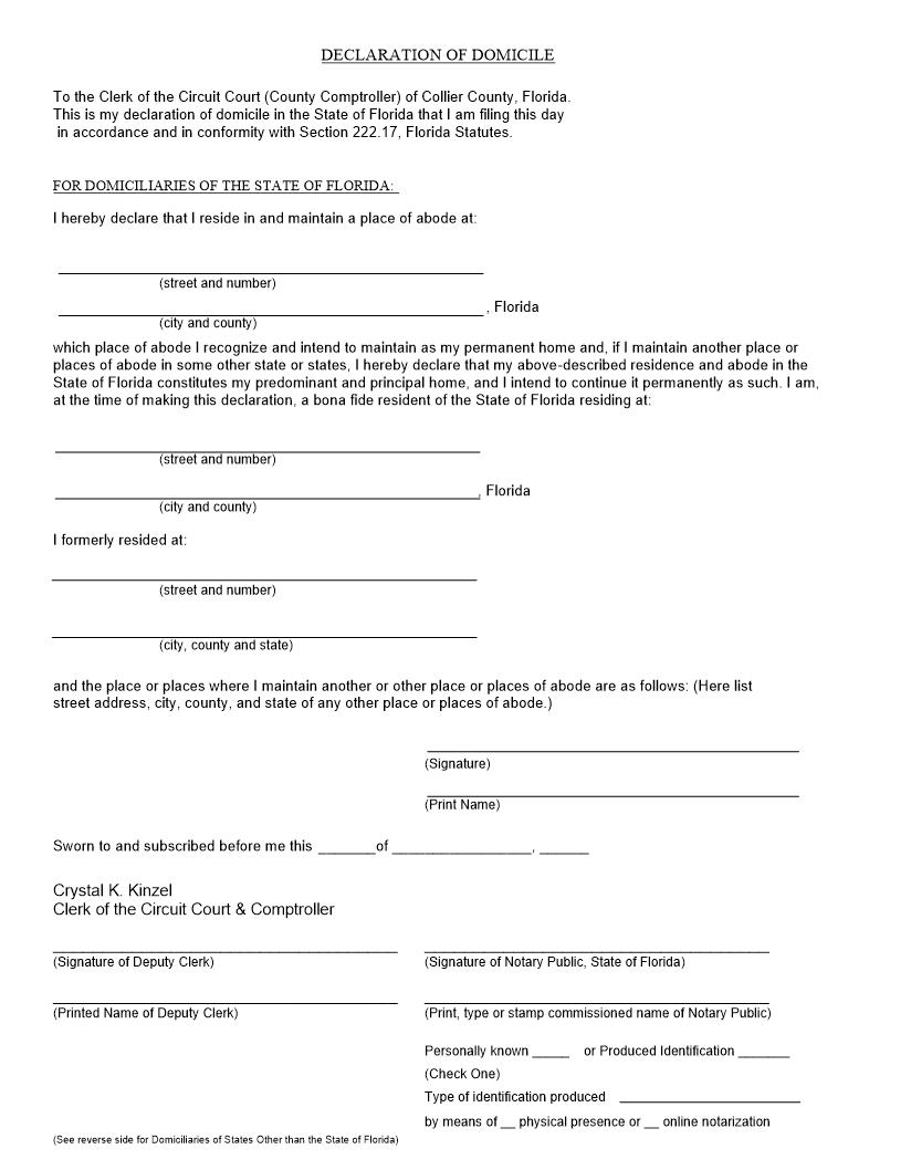 Declaration Of Domicile | Pdf Fpdf Docx | Florida