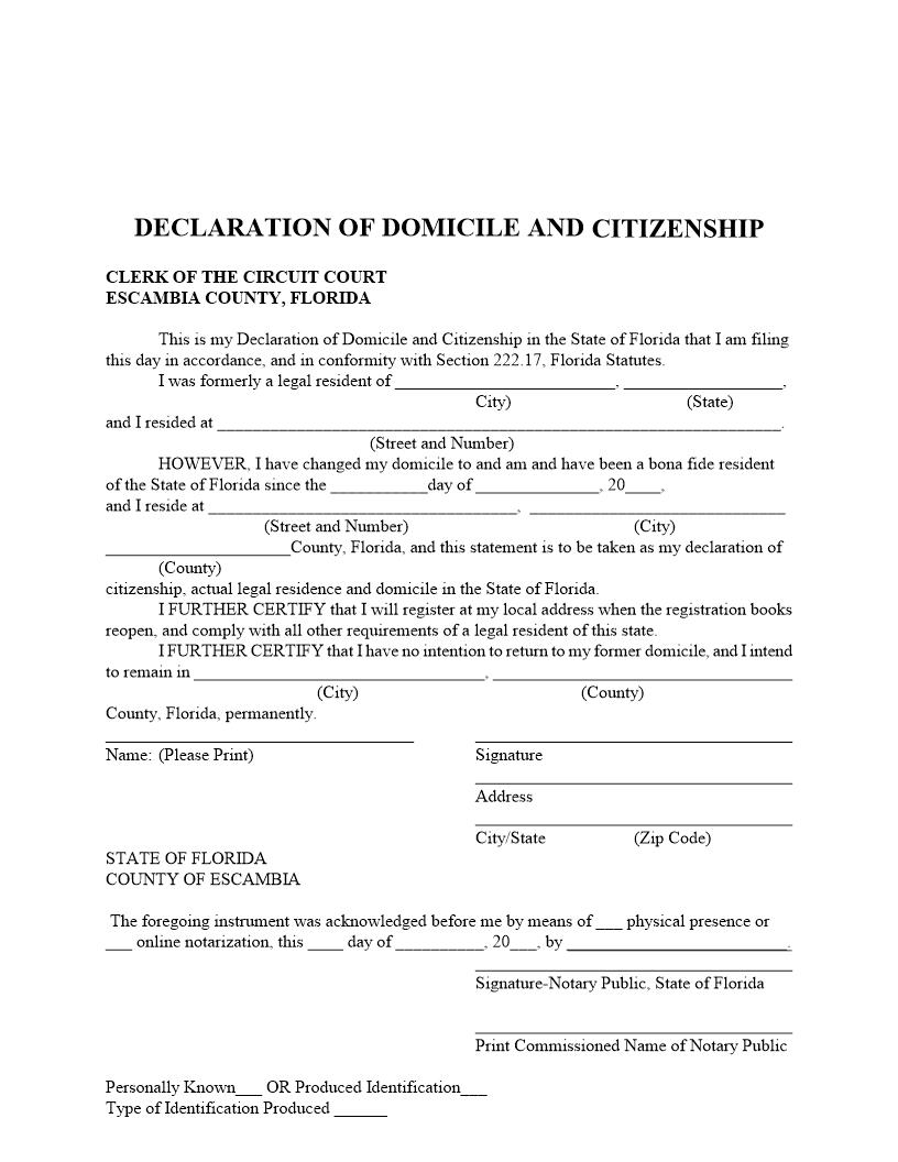 Declaration Of Domicile And Citizenship | Pdf Fpdf Docx | Florida