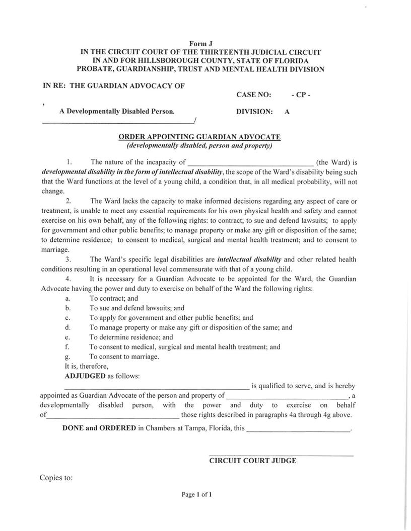 Order Appointing Guardian Advocate {FORM J} | Pdf Fpdf Docx | Florida