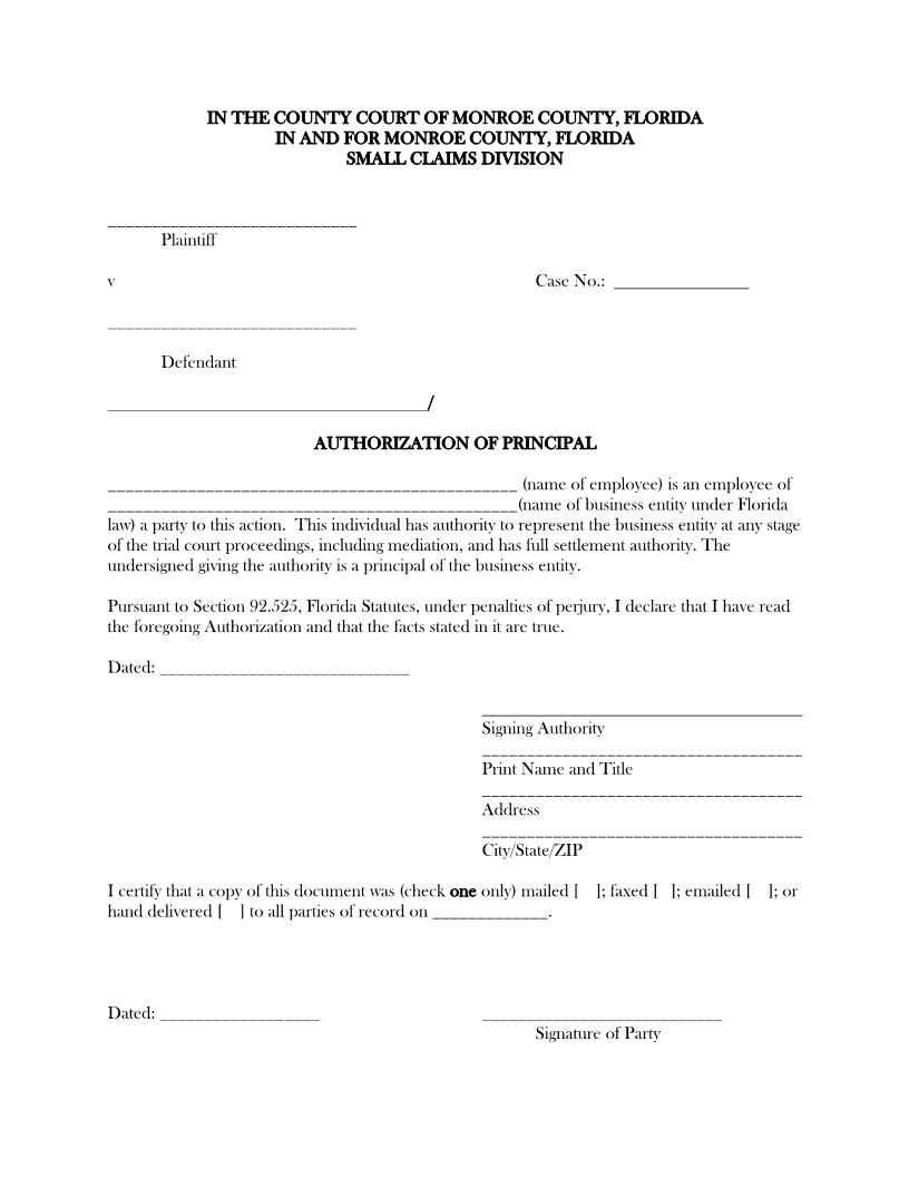 Authorization Of Principal (Small Claims) | Pdf Fpdf Docx | Florida
