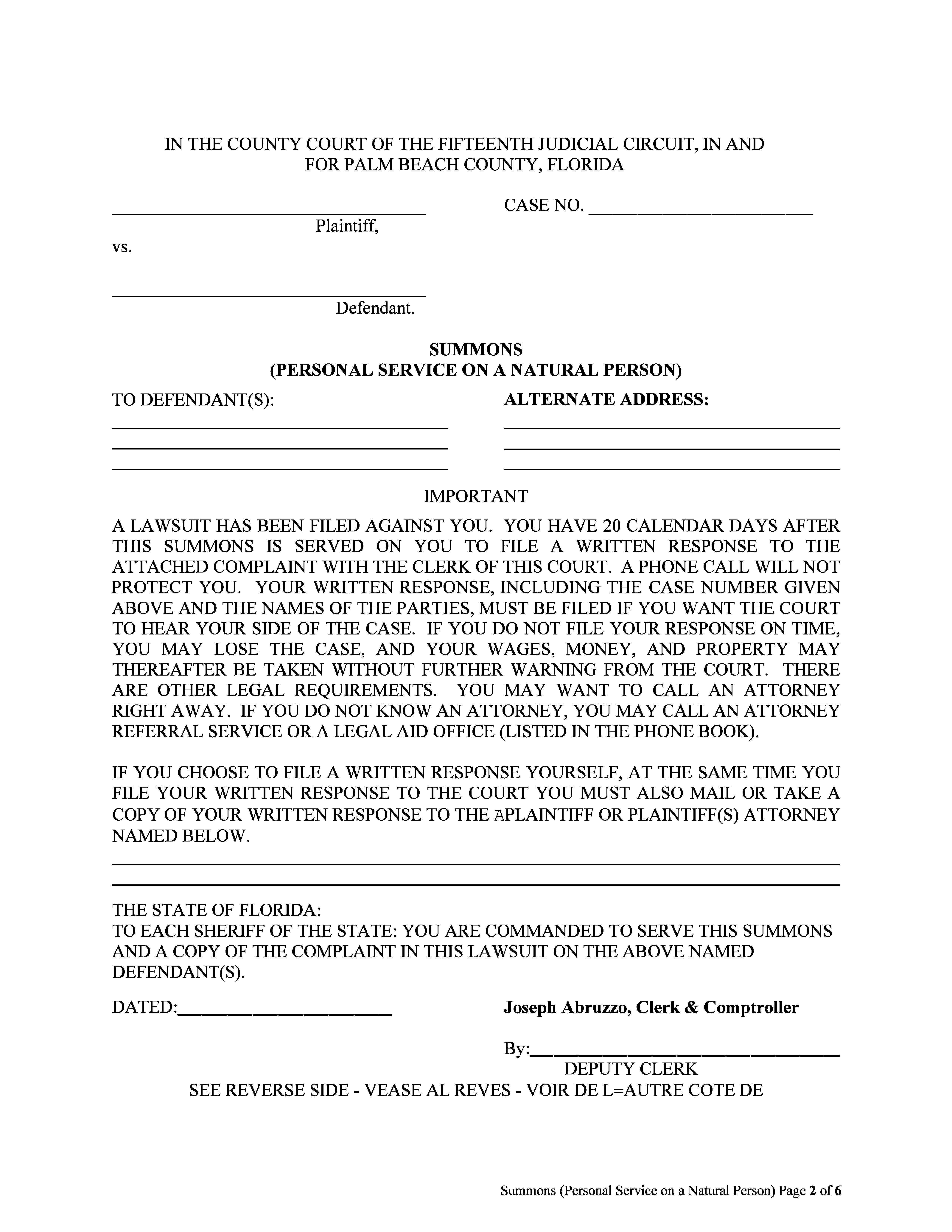 Summons (Personal Service On A Natural Person - County Civil) | Pdf Fpdf Docx | Florida