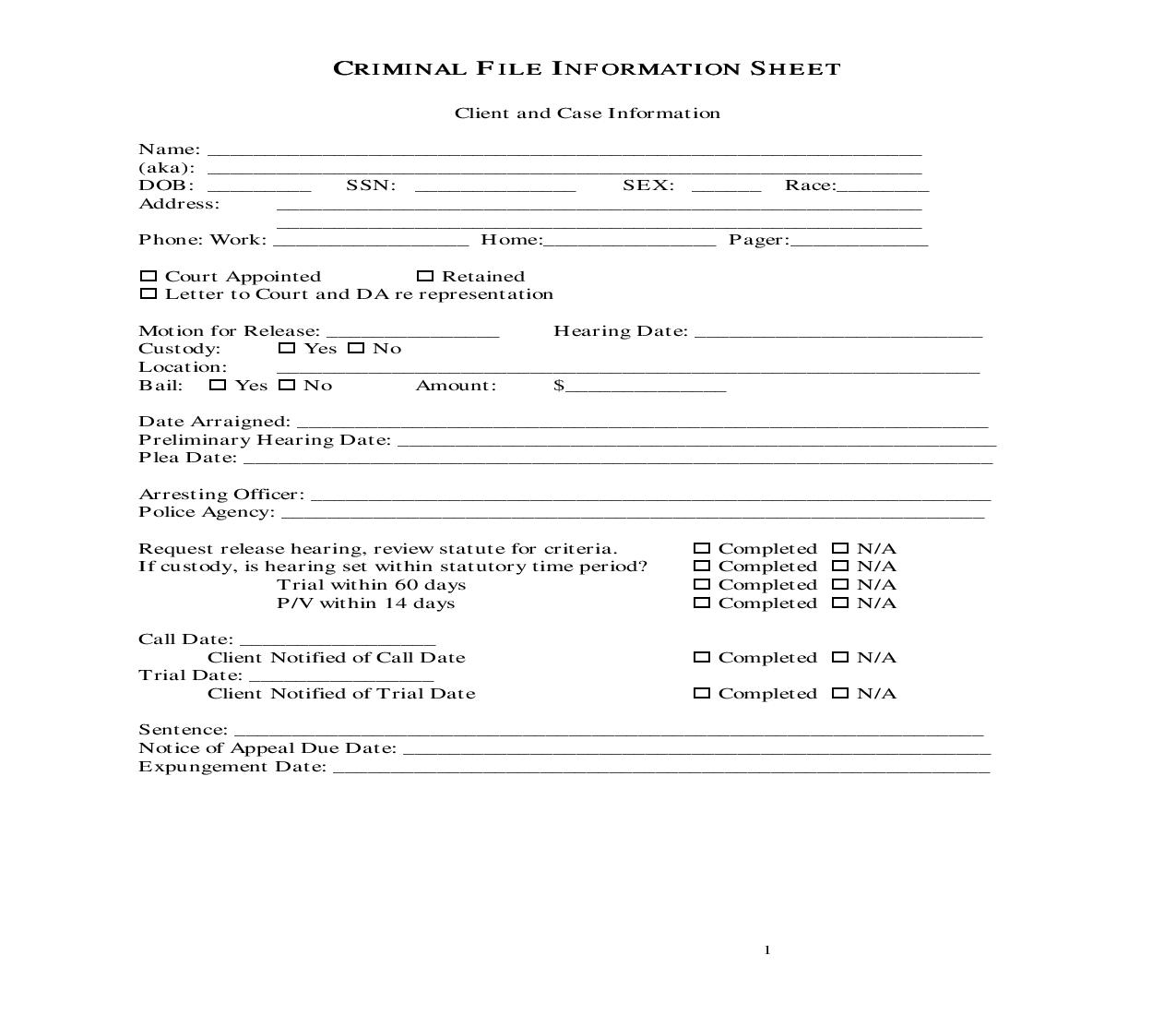 Criminal File Information Sheet | Pdf Fpdf Doc Docx | Georgia