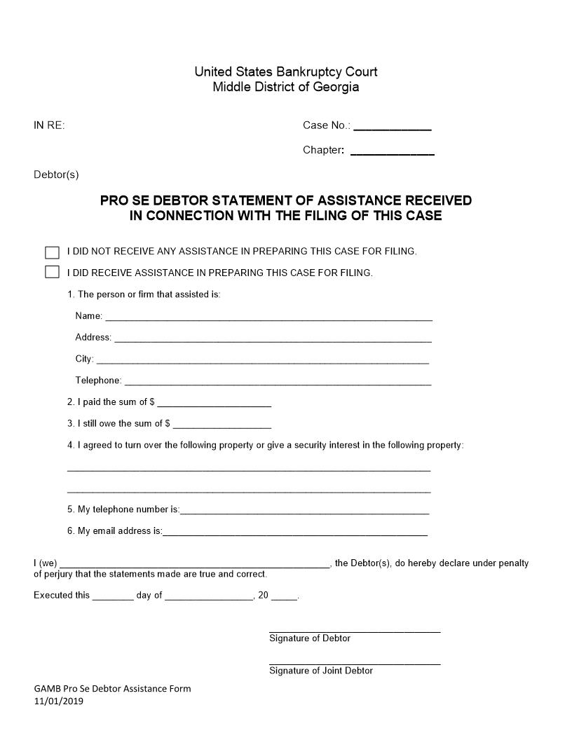 Pro Se Debtor Statement Of Assistance Received | Pdf Fpdf Docx | Georgia