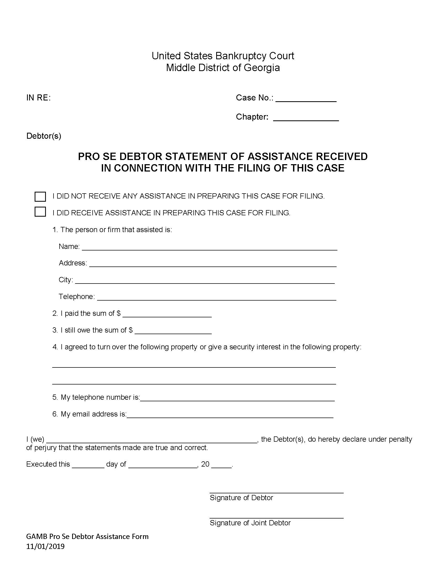 Pro Se Debtor Statement Of Assistance Received | Pdf Fpdf Docx | Georgia
