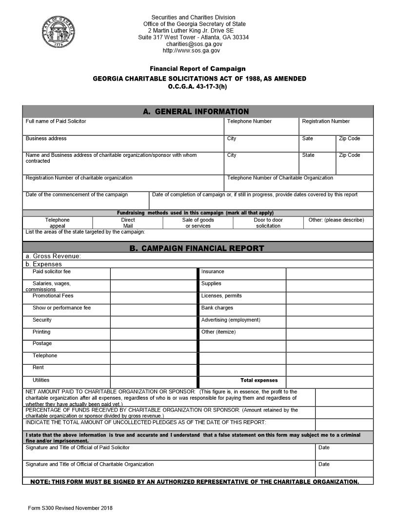 Financial Report Of Campaign {S-300} | Pdf Fpdf Doc Docx | Georgia