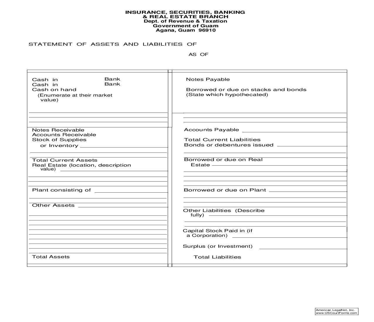 Statement Of Assets And Liabilities {AL} | Pdf Fpdf Doc Docx | Guam