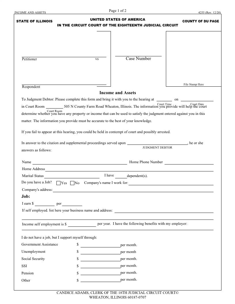Income And Assets {4255} | Pdf Fpdf Docx | Illinois