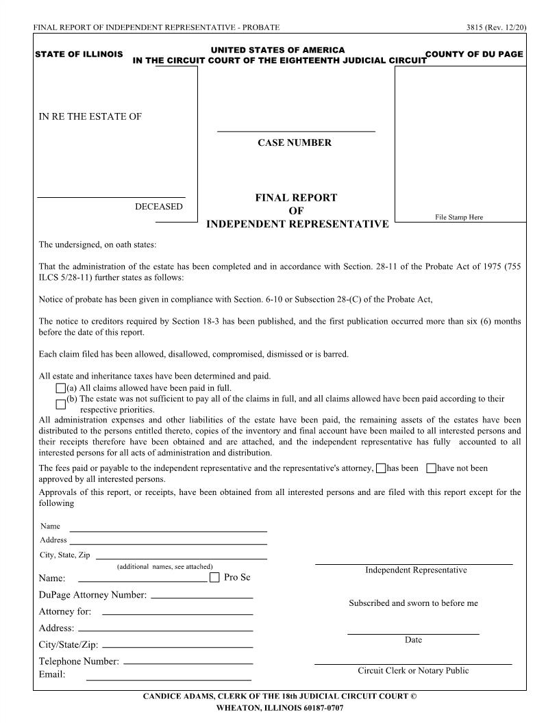 Final Report Of Independent Representative {3815} | Pdf Fpdf Doc Docx | Illinois
