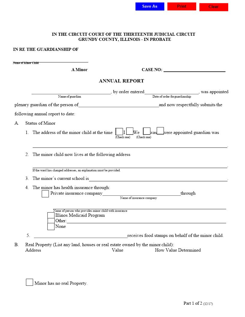 Annual Report (Minor Guardian) | Pdf Fpdf Docx | Illinois