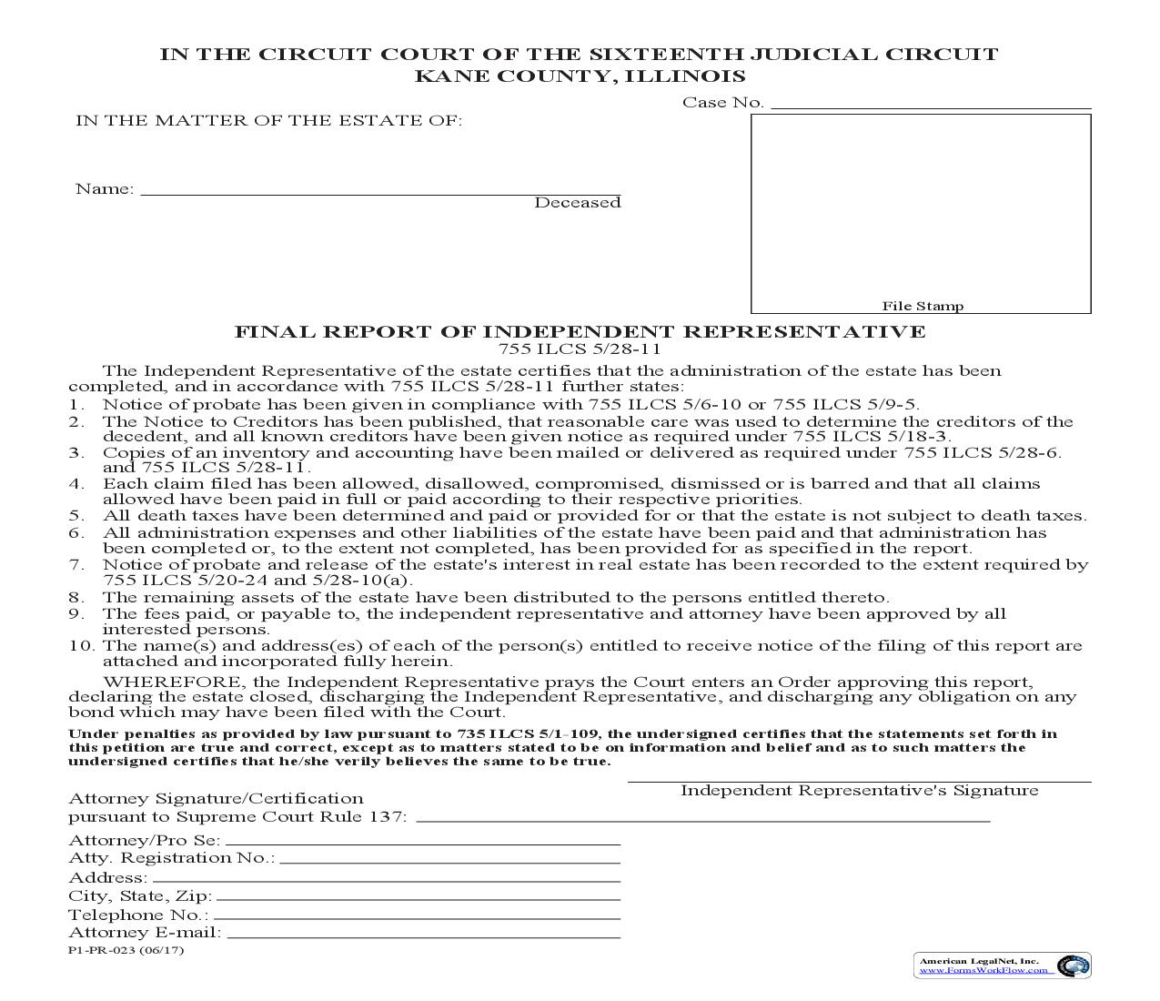 Final Report Of Independent Representative {P1-PR-023} | Pdf Fpdf Doc Docx | Illinois