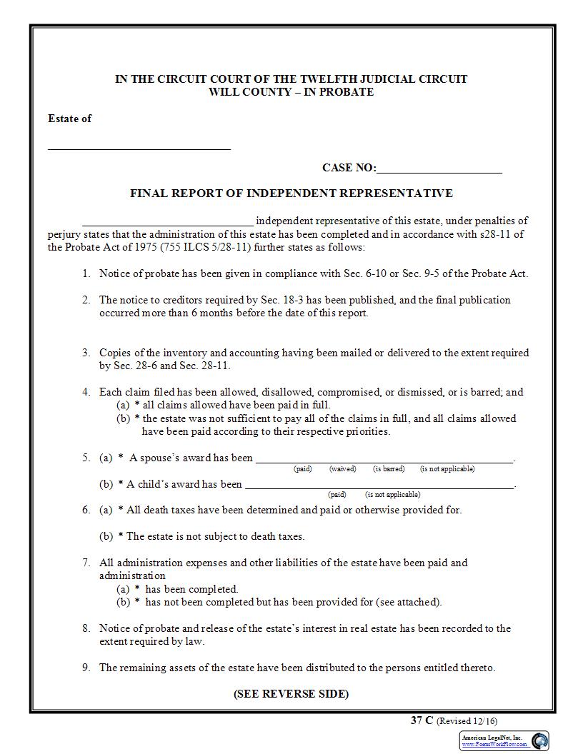 Final Report Of Independent Representative {37C} | Pdf Fpdf Docx | Illinois