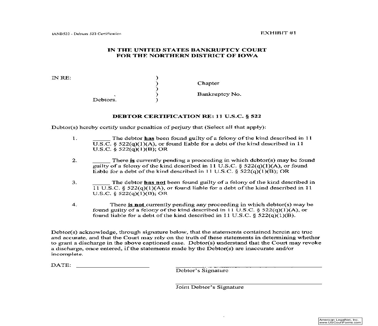 Debtor Certification | Pdf Fpdf Doc Docx | Iowa