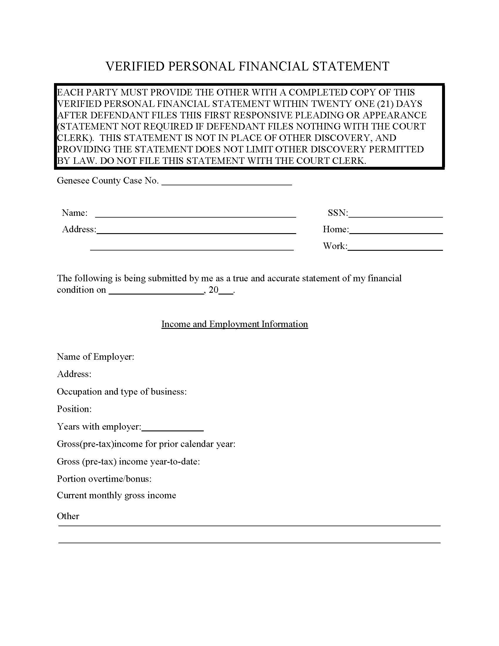 Verified Personal Financial Statement | Pdf Fpdf Doc Docx | Michigan