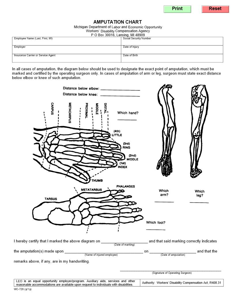 Amputation Chart {WC-728} | Pdf Fpdf Doc Docx | Michigan