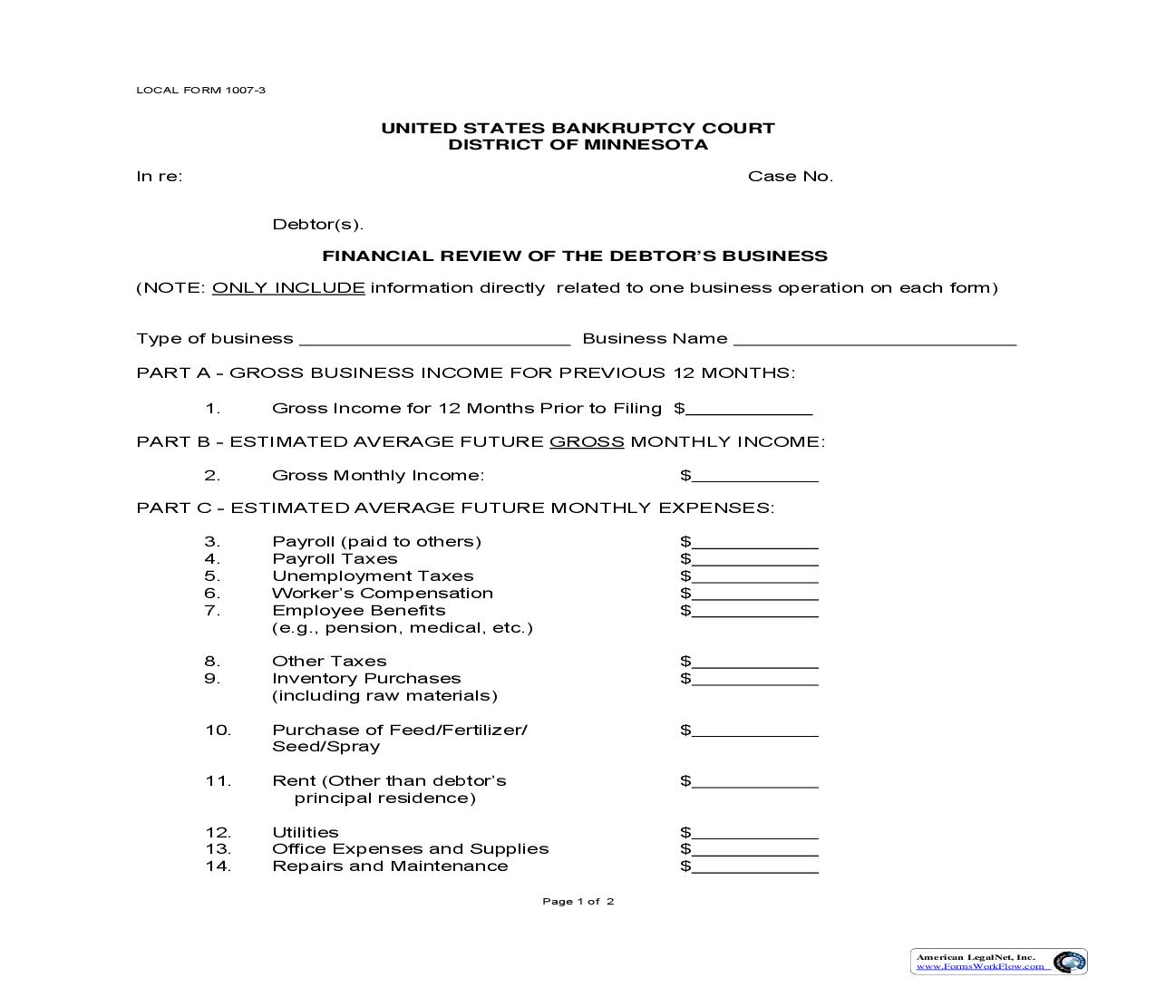 Financial Review Of Debtors Business {1007-3} | Pdf Fpdf Doc Docx | Minnesota