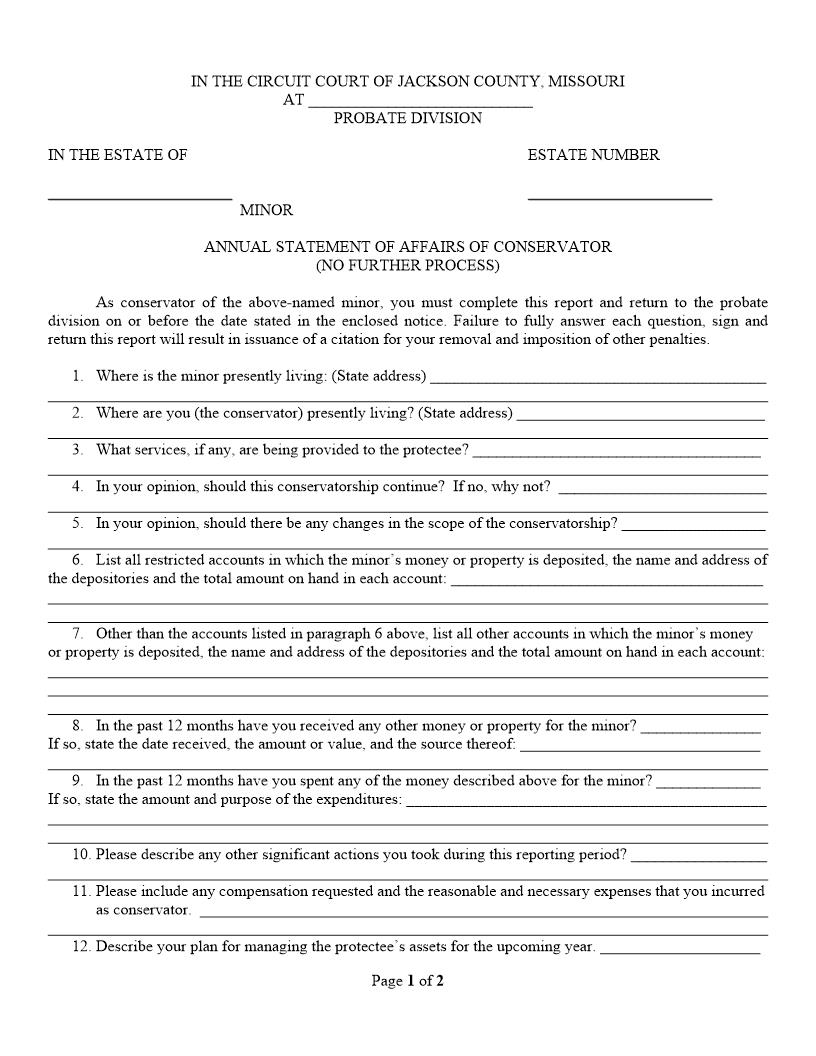 Annual Statement Of Affairs Of Conservator {10602} | Pdf Fpdf Doc Docx | Missouri