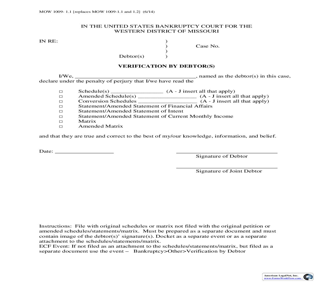Verification By Debtor(s) {MOW 1009-1.1} | Pdf Fpdf Doc Docx | Missouri