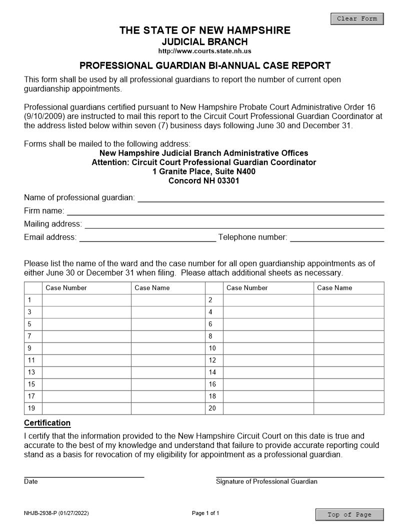 Professional Guardian Report {NHJB-2938-P} | Pdf Fpdf Docx | New Hampshire