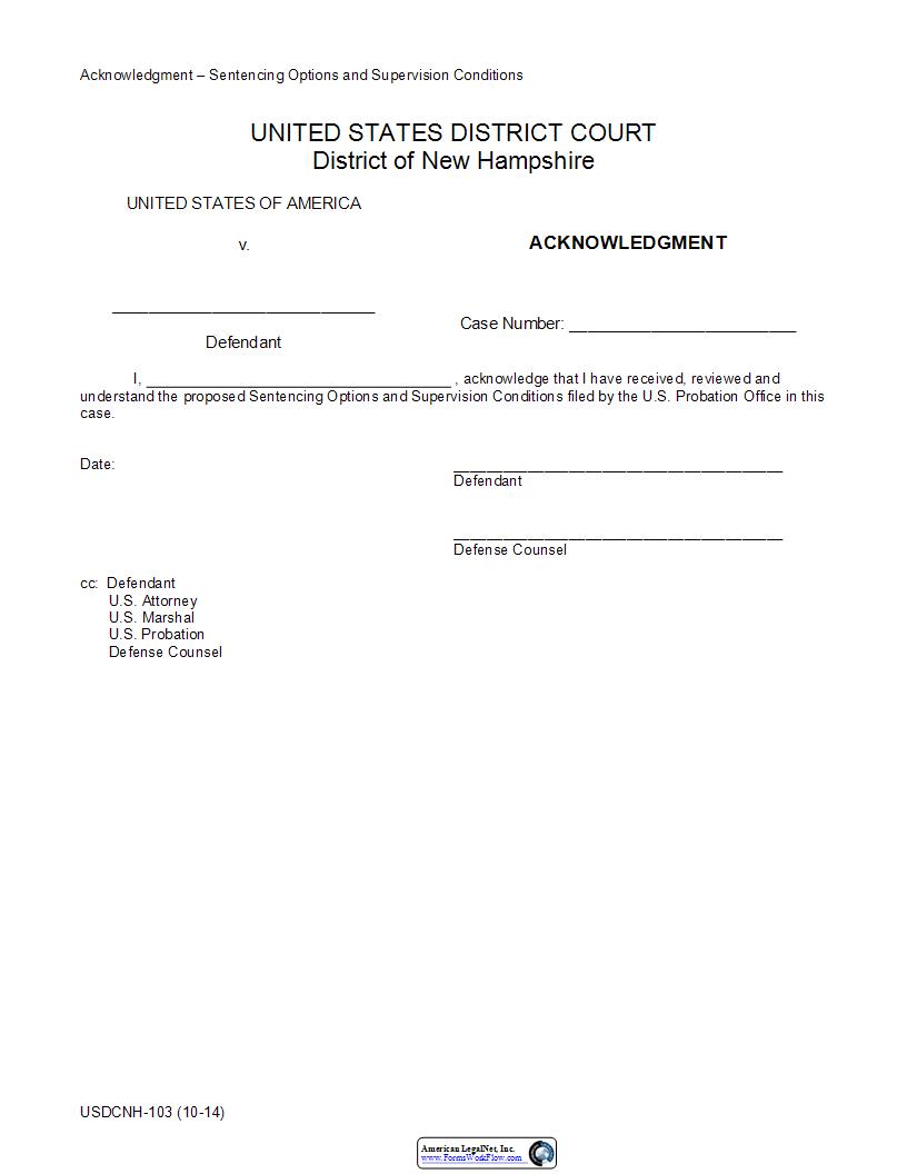 Acknowledgment For Sentencing Options {USDCNH-103} | Pdf Fpdf Docx | New Hampshire