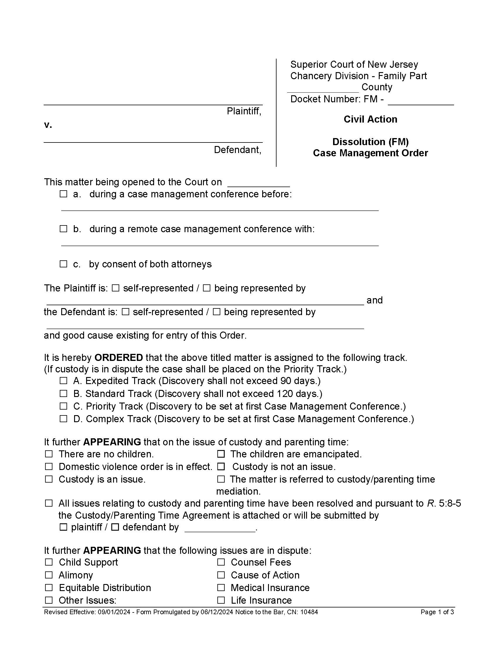 Dissolution (FM) Case Management Order {10484} | Pdf Fpdf Doc Docx | New Jersey