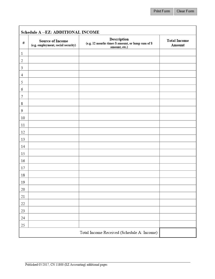 Guardianship Report EZ Accounting Form Additional Pages {11800-addl} | Pdf Fpdf Docx | New Jersey