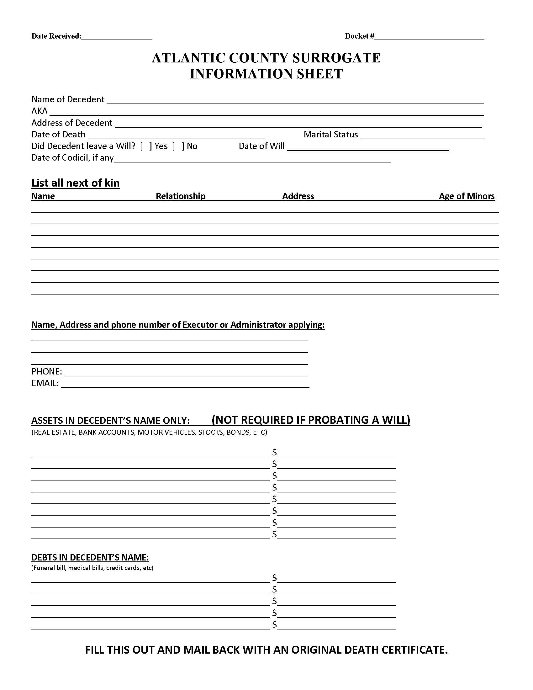 Surrogate Information Sheet | Pdf Fpdf Docx | New Jersey