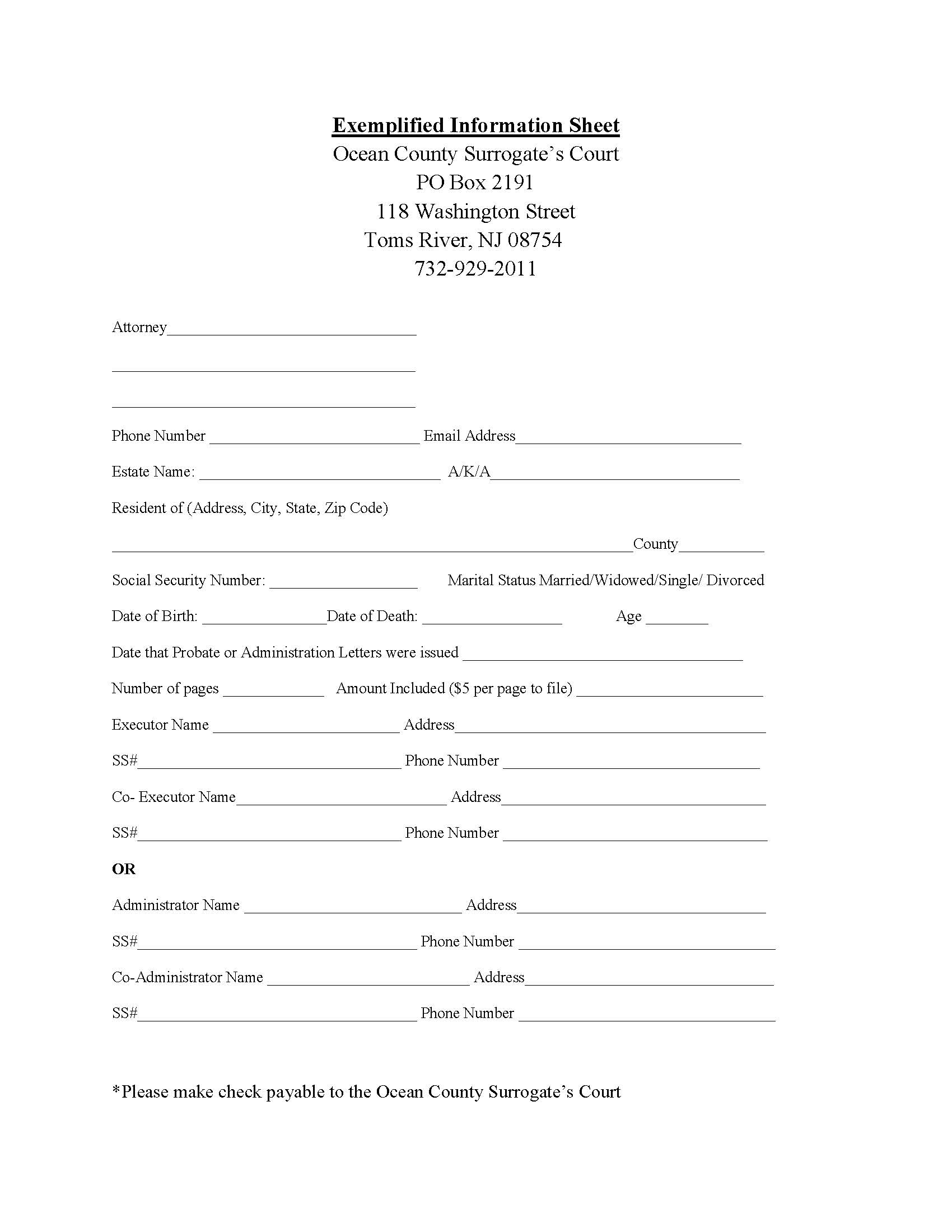 Exemplified Information Sheet | Pdf Fpdf Docx | New Jersey