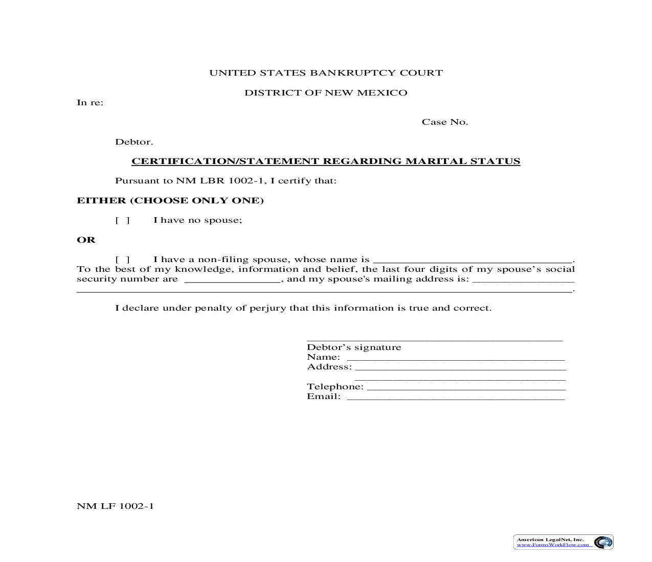 Certification-Statement Regarding Marital Status {1002-1} | Pdf Fpdf Doc Docx | New Mexico