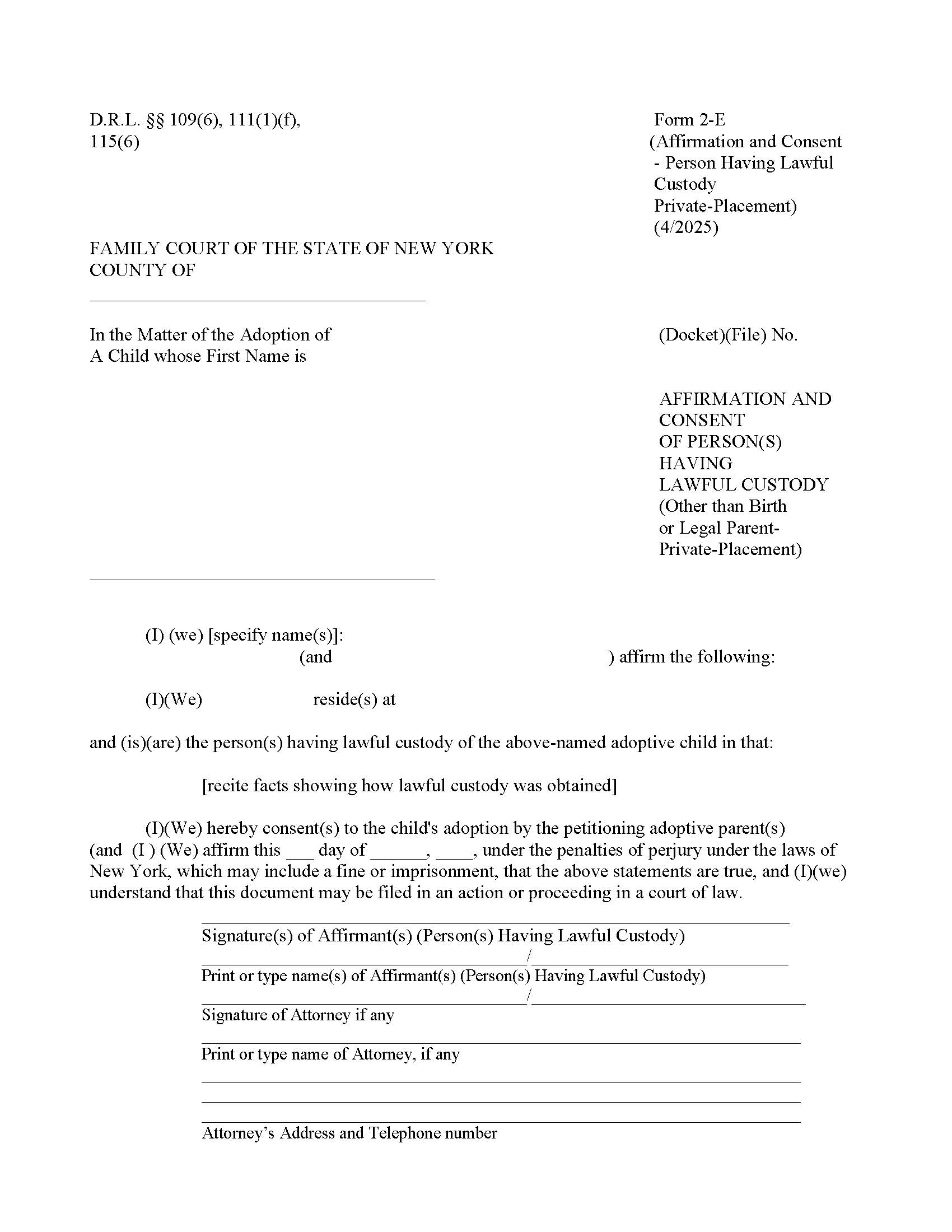Affirmation And Consent Of Person Having Lawful Custody (Other Than Birth Or Legal Parent) (Private Placement) {2-E} | Pdf Fpdf Doc Docx | New York