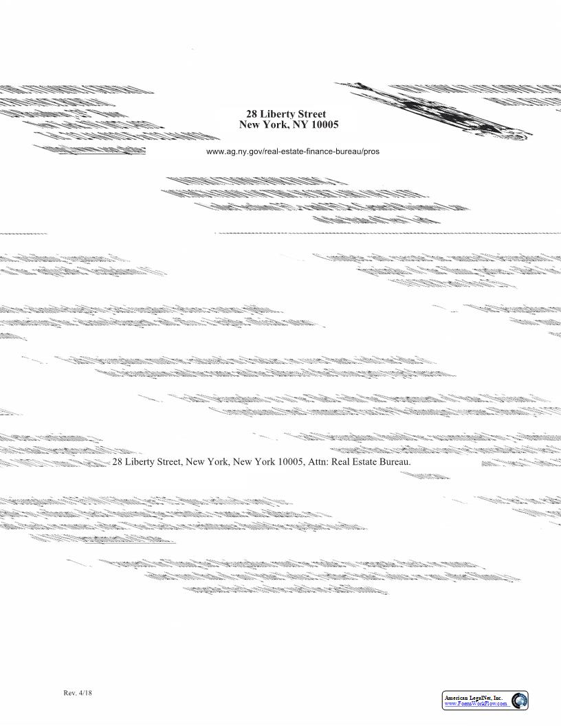 Designation Of Secretary Of State | Pdf Fpdf Docx | New York