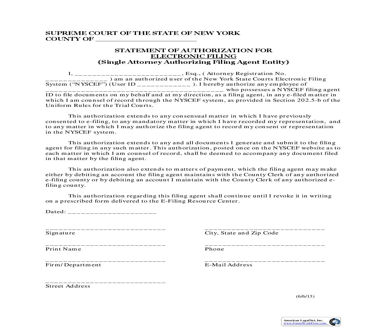 Statement Of Authorization For Electronic Filing (Single Attorney Authorizing Filing Agent Entity) | Pdf Fpdf Doc Docx | New York