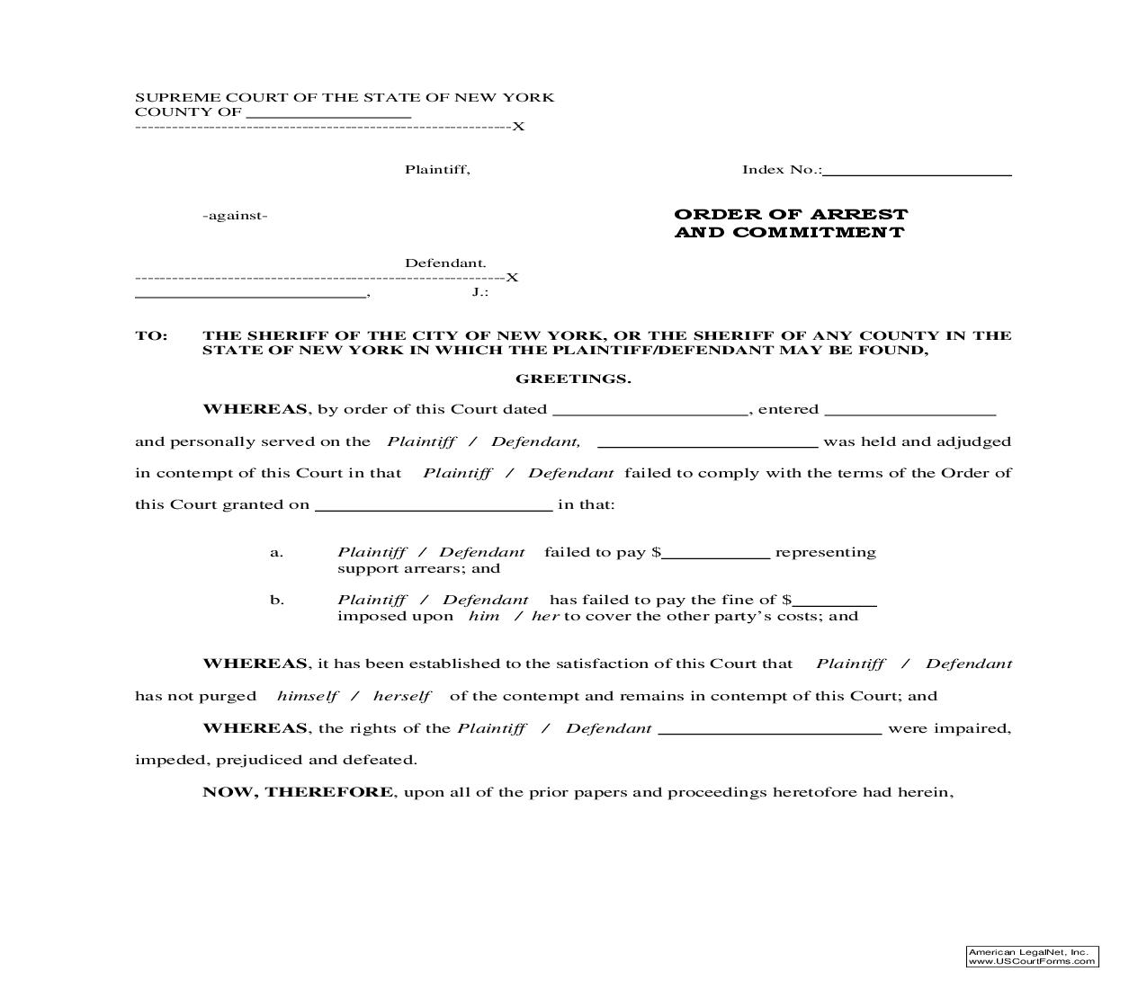 Order Of Arrest And Commitment | Pdf Fpdf Doc Docx | New York