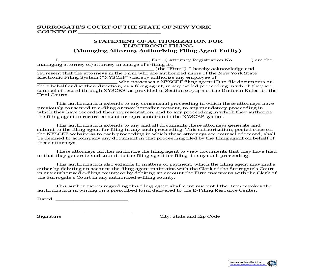 Statement Of Authorization For Electronic Filing (Surrogates Court Managing Attorney Authorizing Filing Agent Entity) | Pdf Fpdf Doc Docx | New York