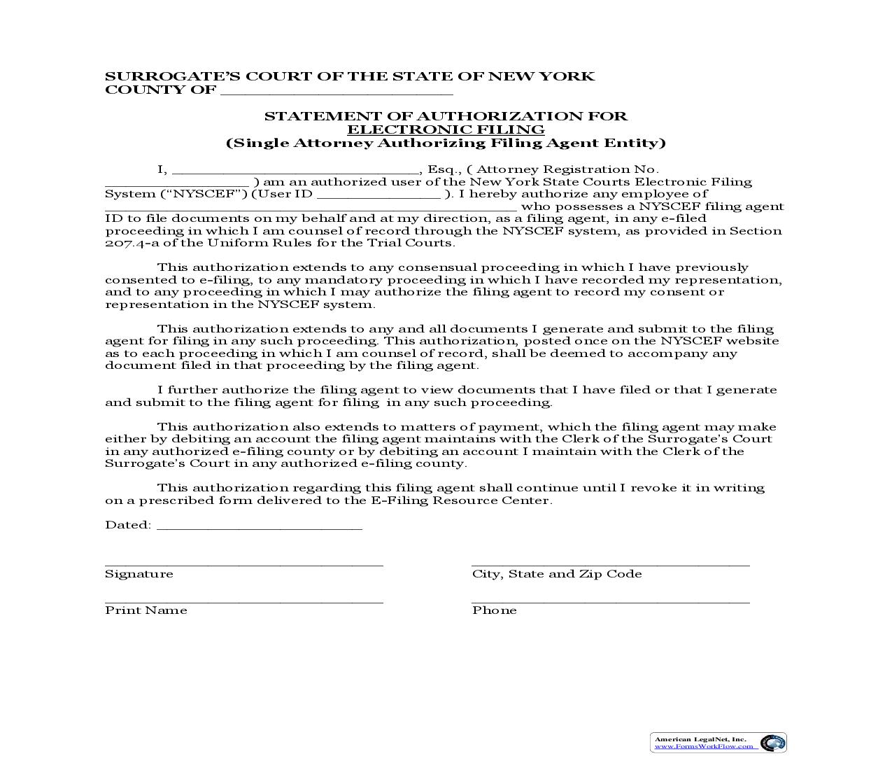 Statement Of Authorization For Electronic Filing (Surrogates Court Single Attorney Authorizing Filing Agent Entity) | Pdf Fpdf Doc Docx | New York