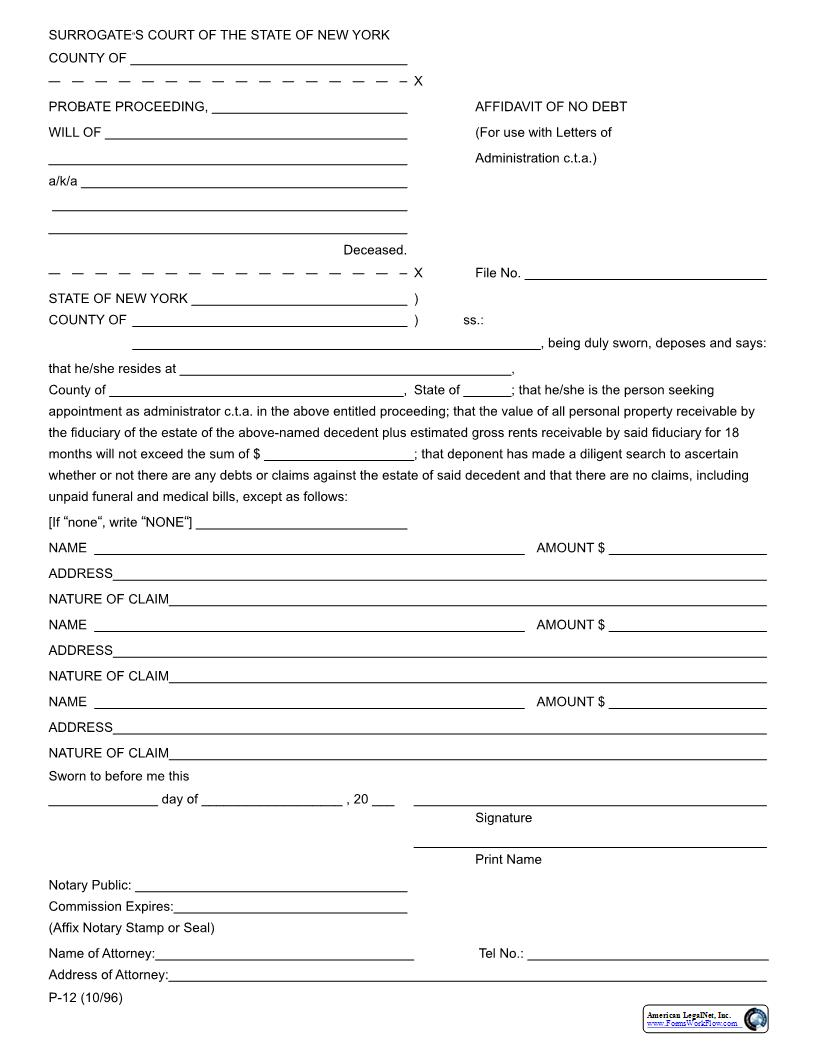 Affidavit Of No Debt {P-12} | Pdf Fpdf Docx | New York