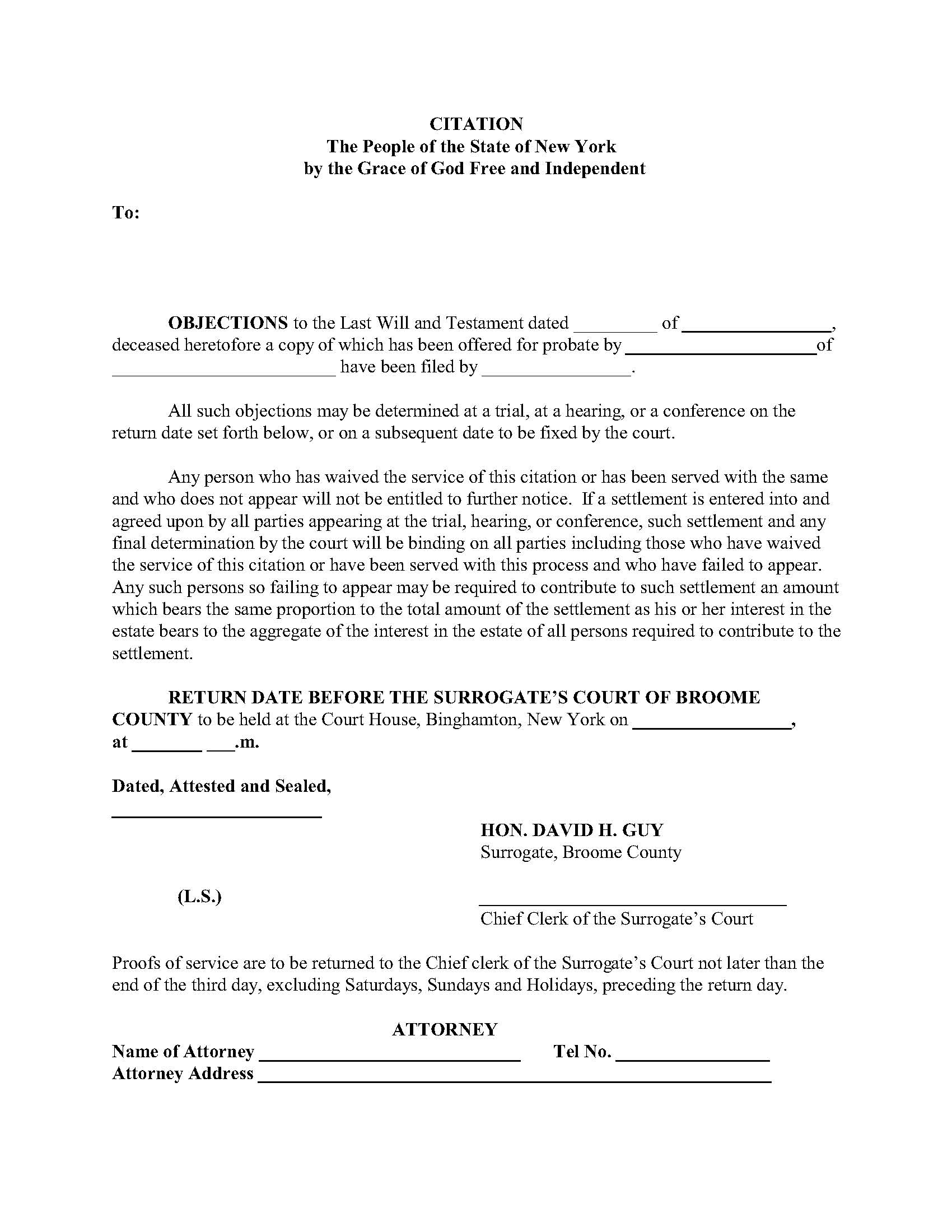 Citation (Probate) | Pdf Fpdf Docx | New York