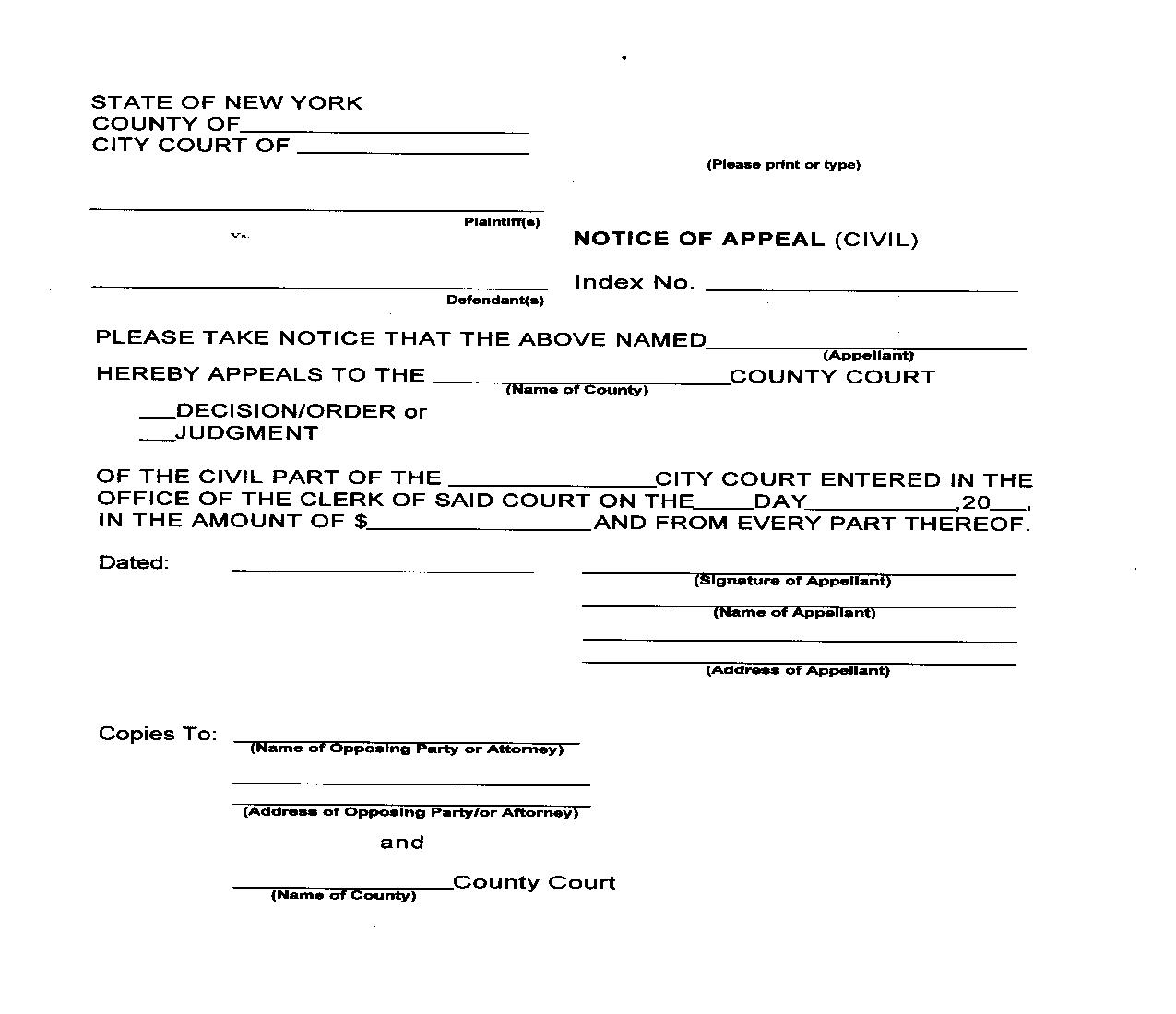 Notice Of Appeal (Civil) | Pdf Fpdf Doc Docx | New York