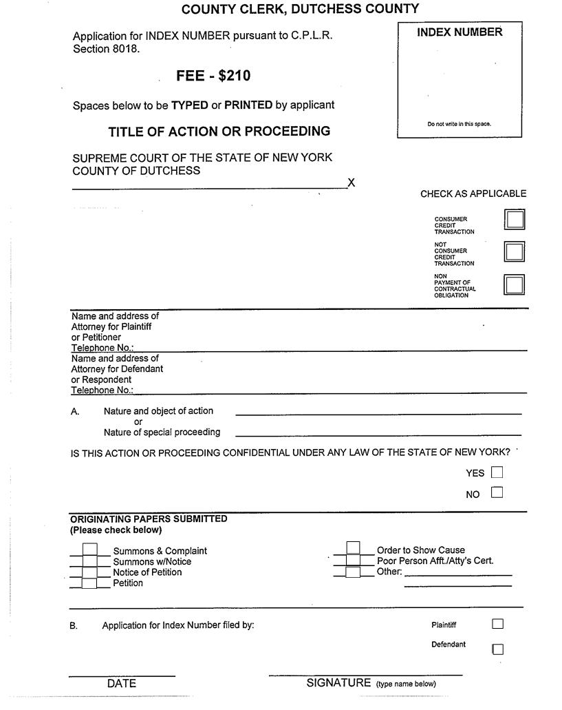 Application For Index Number | Pdf Fpdf Doc Docx | New York